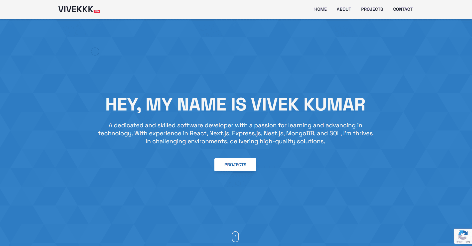 Vivek - Next Portfolio